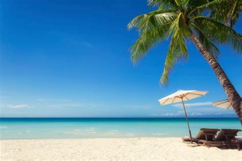 Holiday In The Sun Stock Photo - Download Image Now - iStock