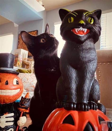 Black Cat Halloween Decorations : r/accidentalrockwell