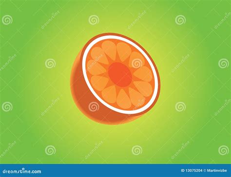 Half slice of orange stock vector. Illustration of slice - 13075204