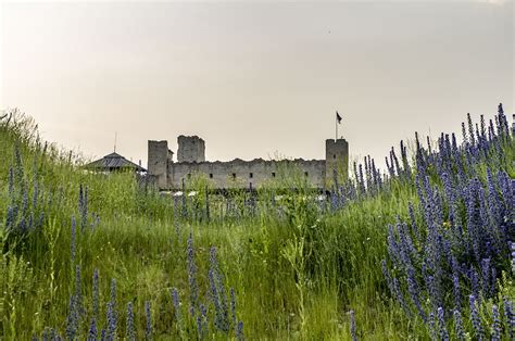 Rakvere Castle Ruins - Free photo on Pixabay - Pixabay