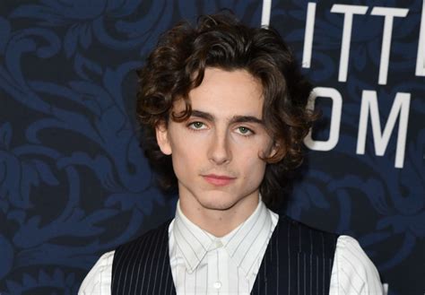 Why 'Little Women' Fans Think Timothée Chalamet Will be the Perfect Laurie