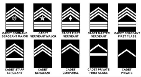 NCO of the Month Board - ALPHA Co. Flashcards | Quizlet