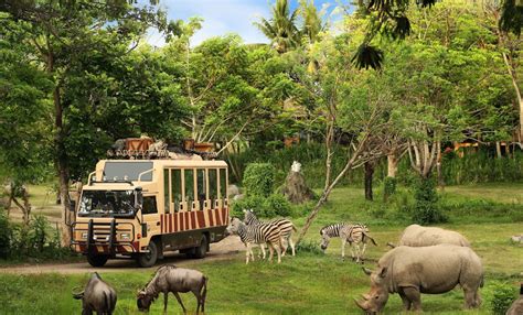 Hotels Near Bali Safari and Marine Park - Travel Quy