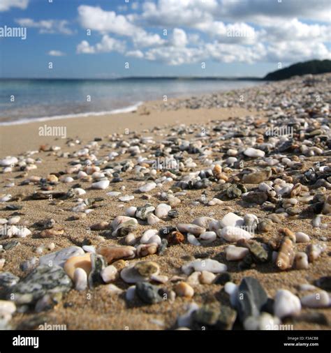 Gyllyngvase Beach Falmouth Stock Photo - Alamy