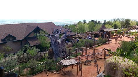 Julie Austine: Cheyenne Mountain Zoo