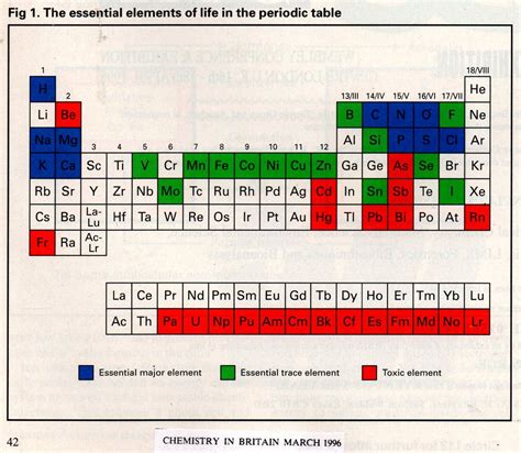 Periodic Table showing elements which have an effect on life | General biology, Periodic table ...