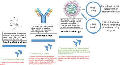 Frontiers | How far are the new wave of mRNA drugs from us? mRNA ...