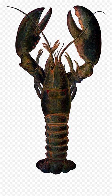 Lobster - Pincer Claw Of Lobster Emoji,Lobster Emoji - free transparent emoji - emojipng.com