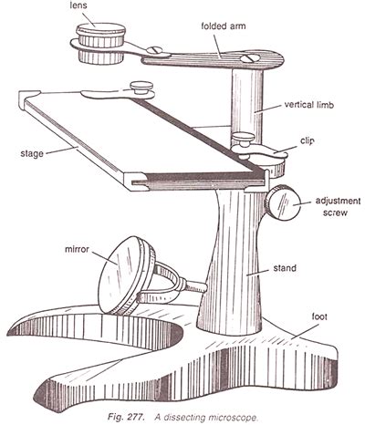 Simple Microscope Drawing at PaintingValley.com | Explore collection of ...