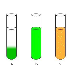 Homogeneity and heterogeneity - Wikipedia