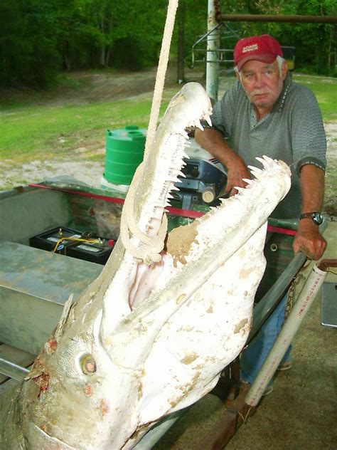 Louisiana Swamp Tours: Cool Autumn Swamp Tours