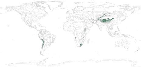 Montane Grassland and Shrubland — Ecology Pocket Guide