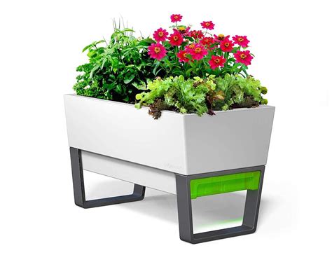 This self-watering planter box is the green thumb you never had