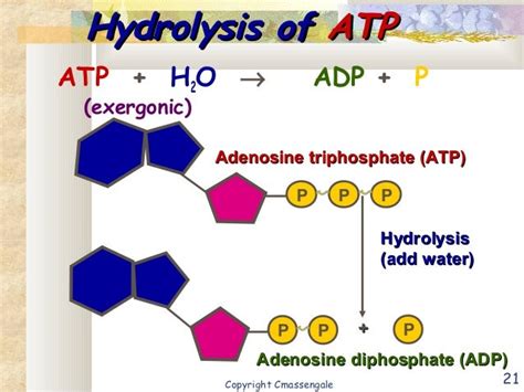 Atp