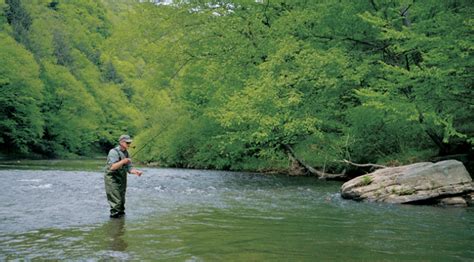 The Clarion River Revive - Fly Fisherman