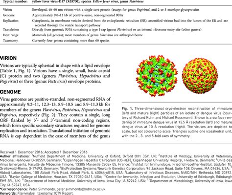 Characteristics of the family Flaviviridae | Download Table