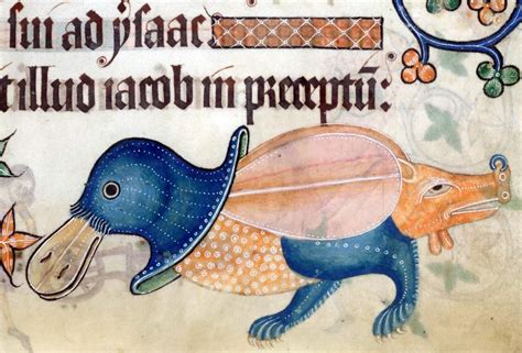 hog-assed and snout-ringed duck Luttrell Psalter, England ca. 1325-1340. British Library, Add ...