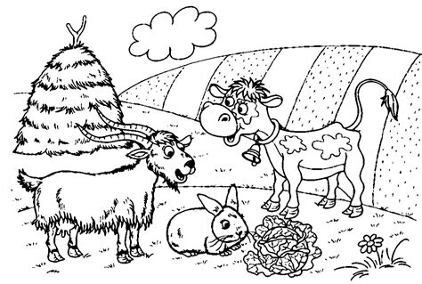 Gambar Coloring Pages Farm Animals Cute Goat Stock Ve - vrogue.co