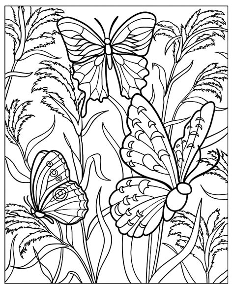 Papillons - Coloriages Papillons & insectes difficiles pour adultes et enfants