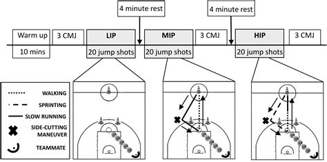 Different intensities of basketball drills affect jump shot accuracy of expert and junior ...