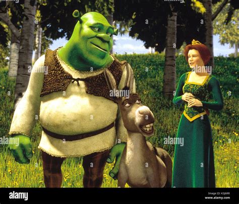 Shrek Fiona Donkey