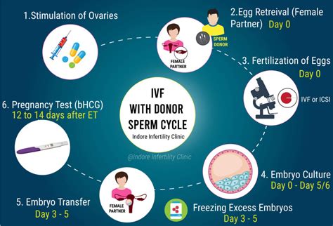 IVF with Donor Sperm | When is it recommended and it's Cost