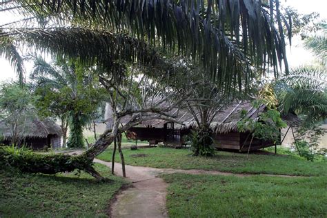 Sangha Lodge, Dzanga-Sangha National Park, Central African Republic ...