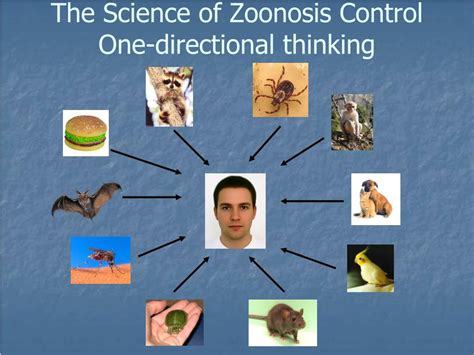 PPT - Reverse Zoonosis: A new way of thinking about pathogen flow PowerPoint Presentation - ID ...