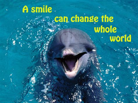 Beautiful Dolphin Quotes. QuotesGram