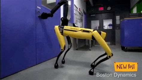 Boston Dynamics video: Watch ‘Black Mirror’ robot dog ‘Spot’ armed with ...