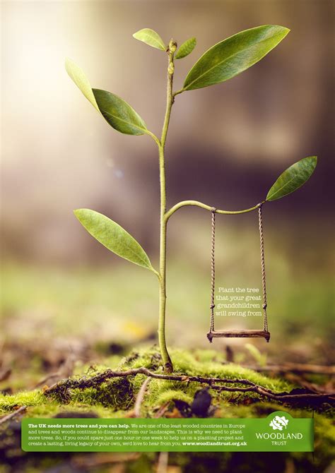 Woodland Trust: Swing | Creative advertising, Ads creative, Print ads