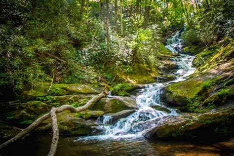 The 15 Best Pisgah National Forest Waterfalls to Explore