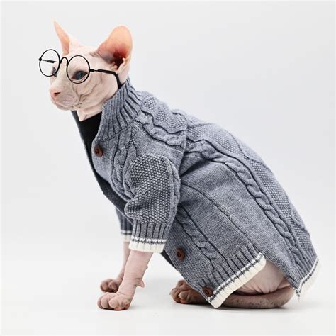 Hairless Cat With Sweater | Hot Sex Picture