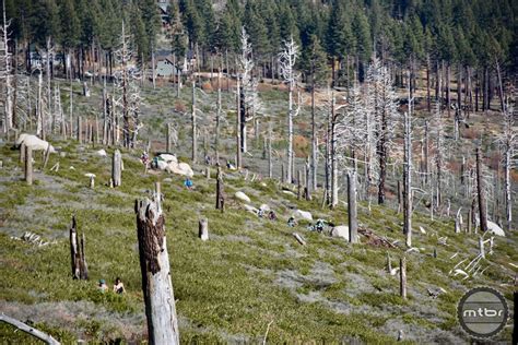 Rising up from the ashes of the 2007 Lake Tahoe fire- Mtbr.com