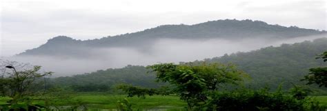 b. Landscape showing the habitat of Golden Langur in Bamungaon Reserve... | Download Scientific ...