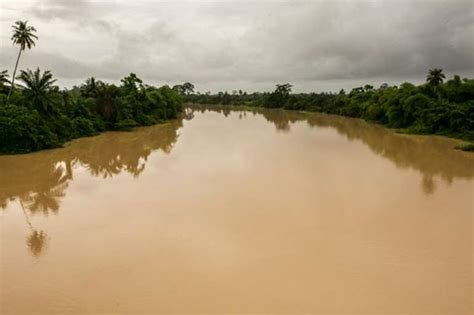 Pra River Now A Stagnant, Brownish Sludge