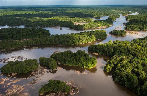 THE IMPORTANCE OF RIVERS - Guyana Chronicle