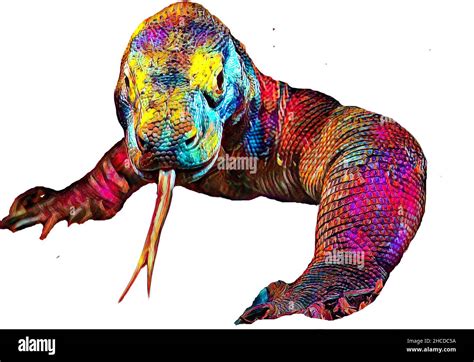 Komodo dragon teeth Banque d'images détourées - Alamy