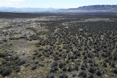 Biden administration clarifies 1872 Mining Law; says Nevada lithium ...