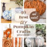 10 Best DIY Pumpkin Crafts for Fall - Bluesky at Home