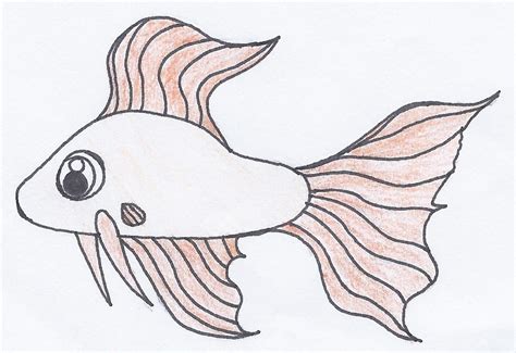 Free Fish Drawing Pictures, Download Free Fish Drawing Pictures png ...