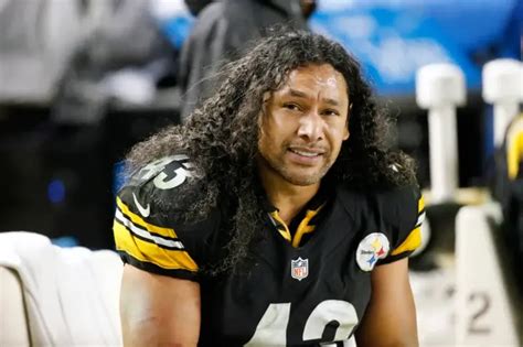 Troy Polamalu Ethnicity, Wiki, Height, Parents, Age, Weight, Net Worth