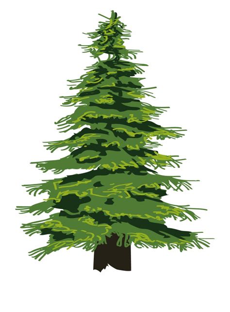 cedar png 20 free Cliparts | Download images on Clipground 2024