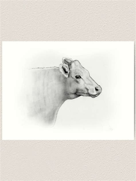 "Cow Head Profile, Pencil Drawing, Cattle, Farm Animal" Art Print for ...