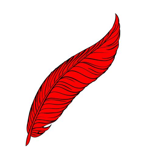 Red Feather Line Art Free Stock Photo - Public Domain Pictures