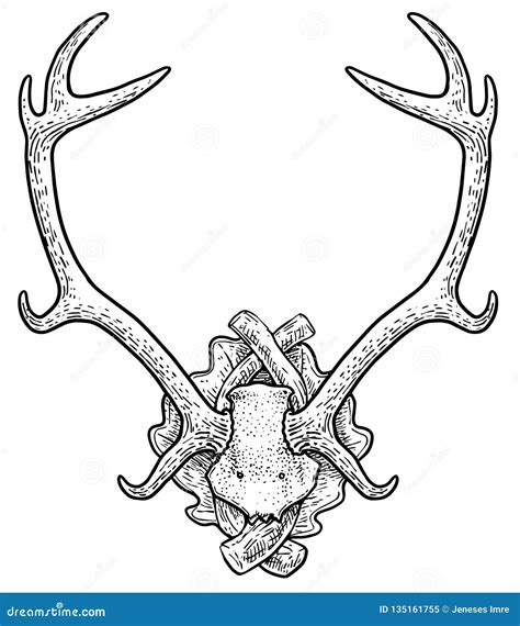 Deer Trophy Illustration, Drawing, Engraving, Ink, Line Art, Vector Stock Vector - Illustration ...