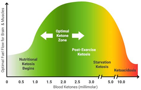 Ketonuria causes, symptoms & ketonuria treatment