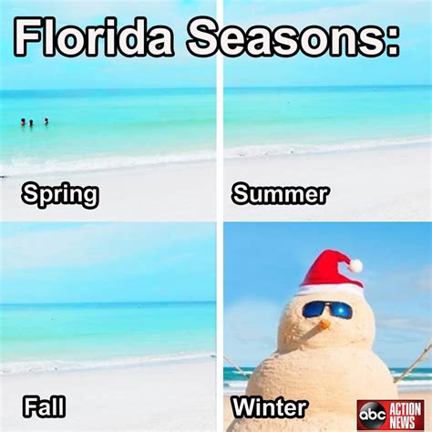 The 10 Best Florida Winter Memes - I Love South Florida