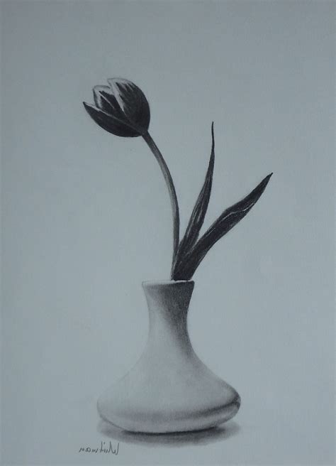 Vase Drawing Pencil