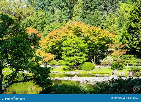 Japanese Garden in Seattle`s Washington Park Arboretum Stock Photo - Image of stroll, path ...